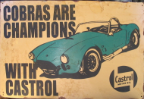Ford Cobra 's are Champions
